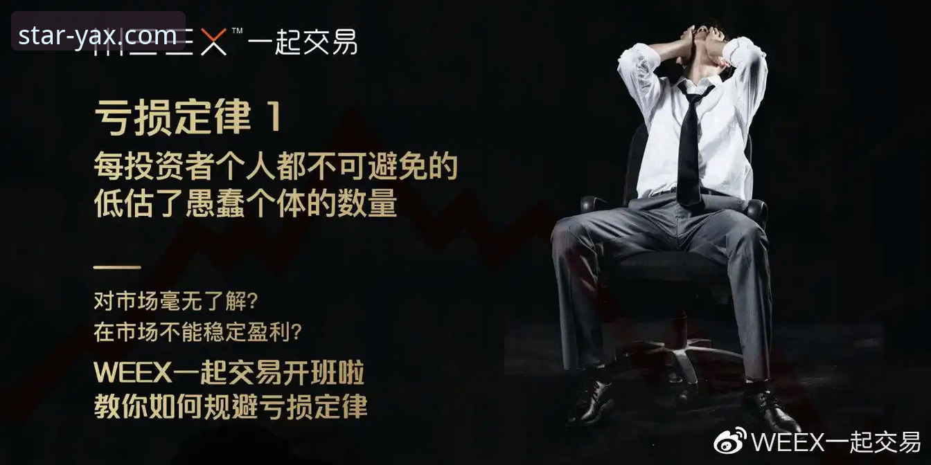 亚星官方平台下载与使用实用指南：从获取到登录的完整攻略